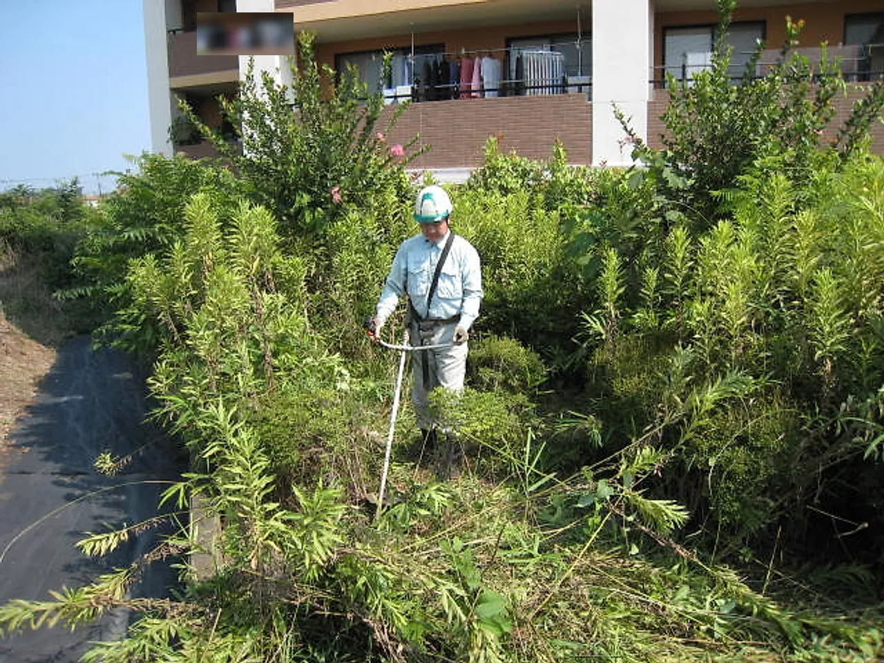 荒地の草刈り