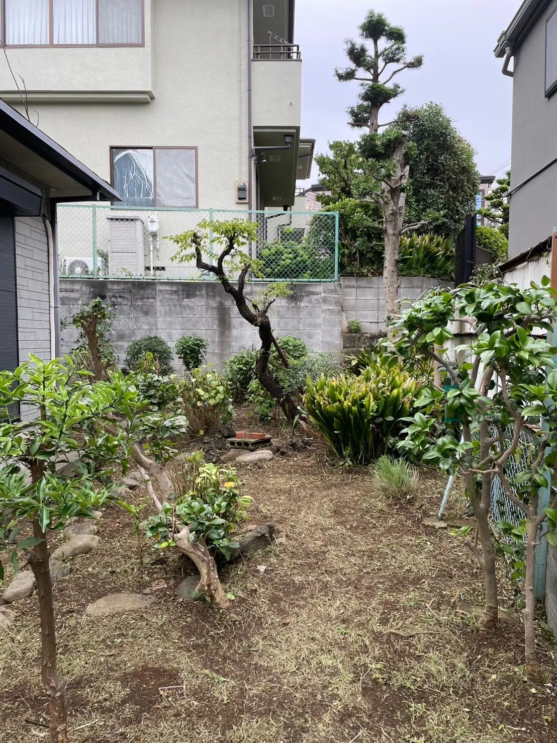 空き家の除草管理（施工後）